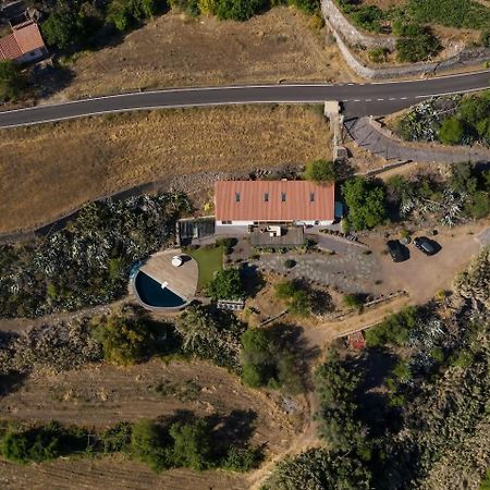Finca En El Corazon De La Isla Tejeda  Extérieur photo
